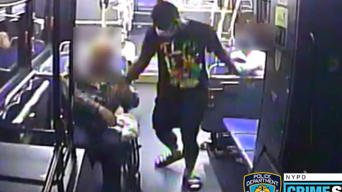 VIDEO: Man robs bus passenger in wheelchair