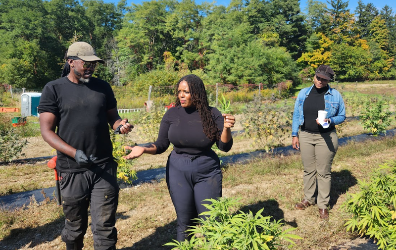 Aswad (left) and Burems (center) explain the cultivation process to press and state officials at Claudine Field Apothecary in Copake.