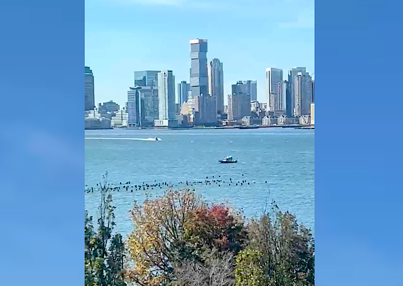 Dozens of emergency responders were in the area during the water rescue around 10:30 a.m. Tuesday