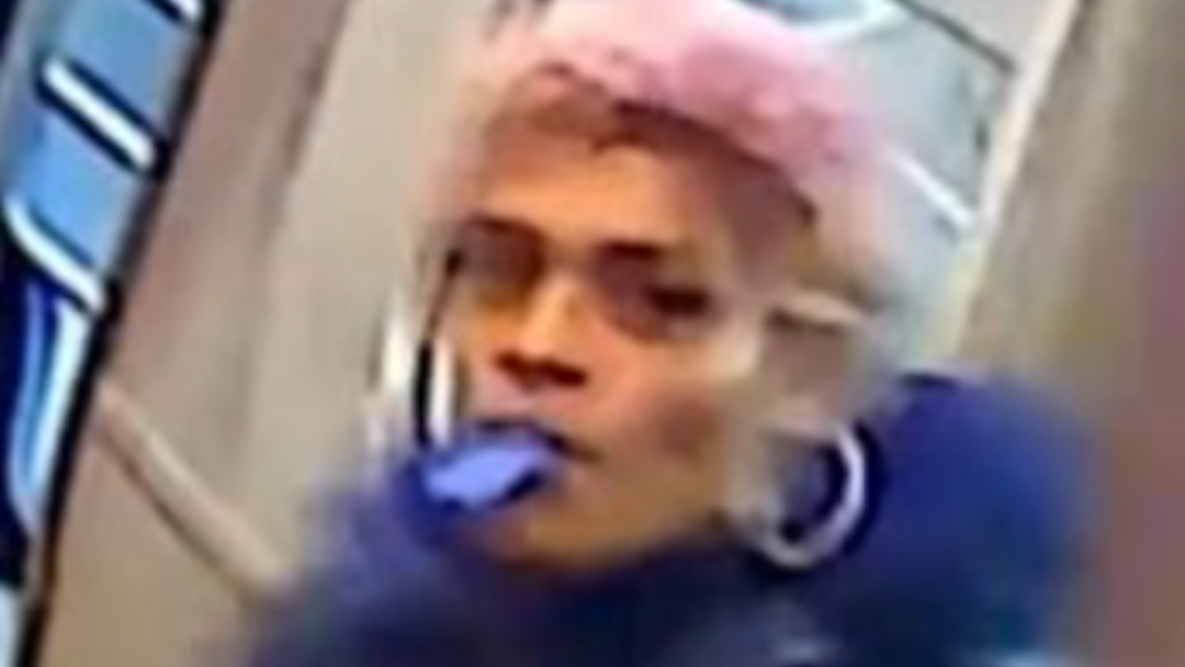 Woman who damaged security cameras at Queens subway station sought