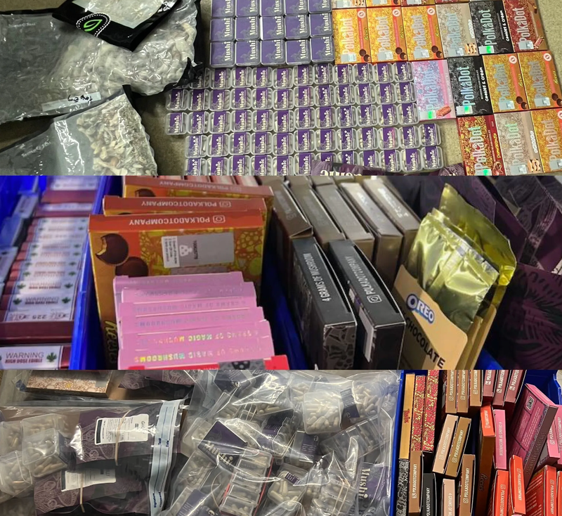 Officers discovered a variety of psilocybin mushroom products, including mushrooms, pulls and chocolate bars, during their search at Come Back Daily in the East Village.