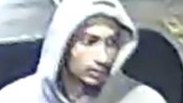 Road-rager sought for shooting driver after Bronx crash