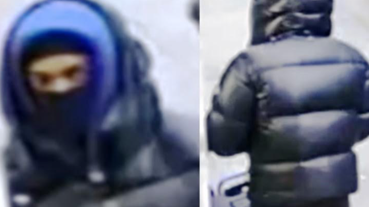 Bronx duo sought after woman in medical chair robbed at gunpoint: NYPD