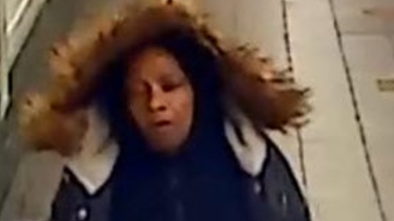 Police search for woman who snatched commuter's purse, punched her in face