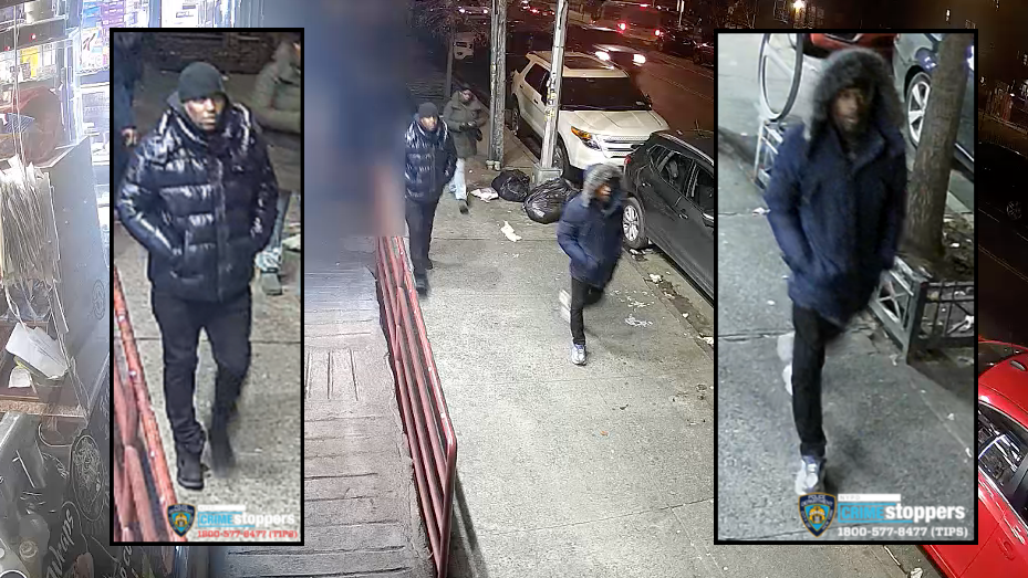 Brooklyn trio punches man, 74, to ground for $15