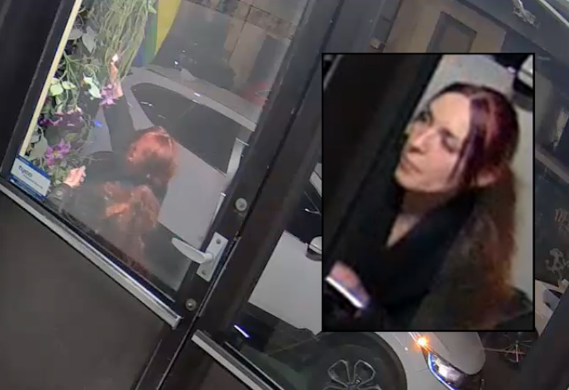 Police released surveillance footage Monday following the arson at Little Prince on Prince Street earlier in the day