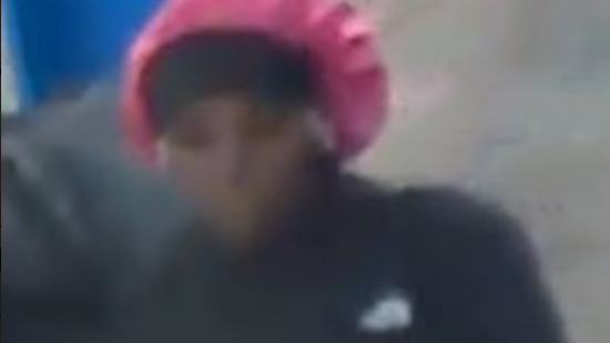 Teen girl sought in Manhattan robbery mayhem