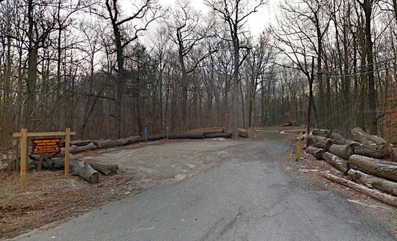 A dog alerted its owner to the hand as the two walked in a wooded area