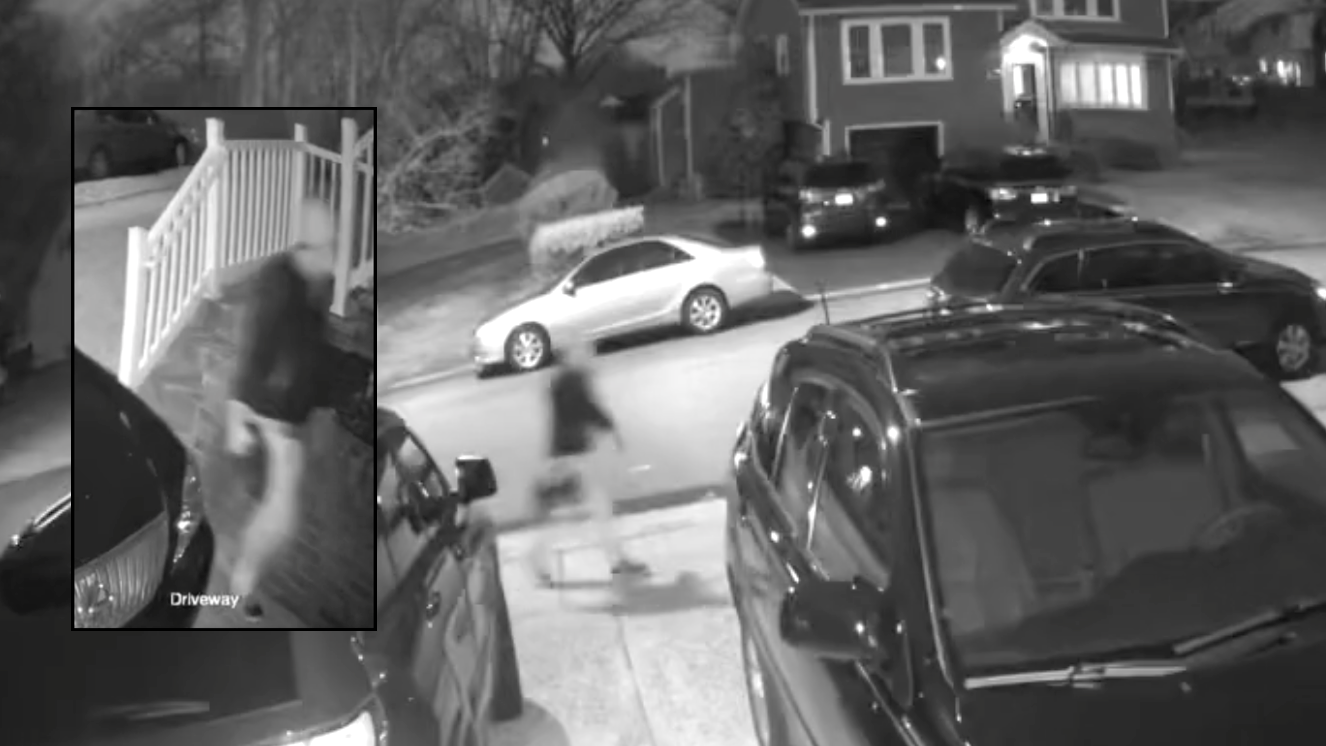 Man wanted for putting dead cat in mailbox of NJ home: police