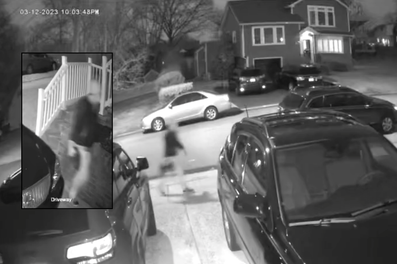 Video shows a man who police believe put a dead cat in the mailbox of a Cranford, New Jersey, home on Sunday night