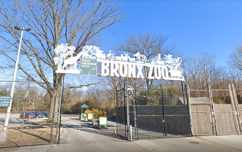 The Bronx Zoo in a statement said that it is “universally recognized as a leader in animal care, management, exhibitry, education and conservation"