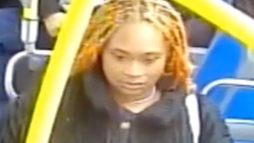 Woman, 66, dragged to floor in SI purse robbery on MTA bus