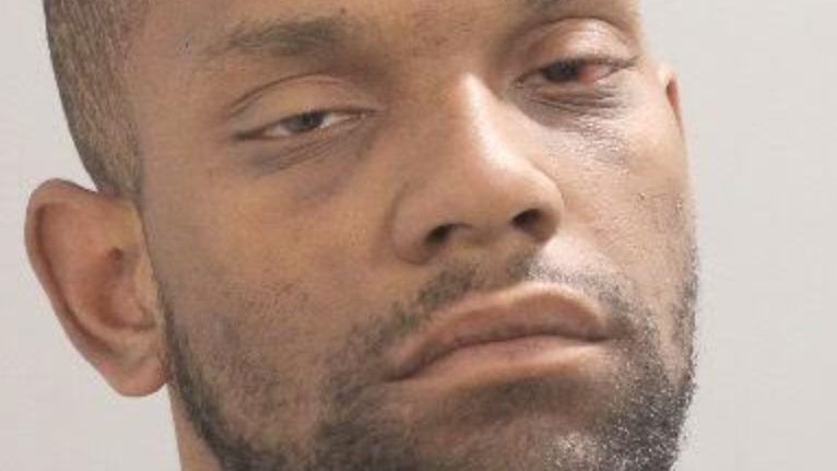 LI burglar faces animal cruelty charge after released dog kills pet cat: cops