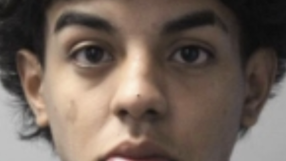 Man, 20, busted for hitting Suffolk County cop with rental car