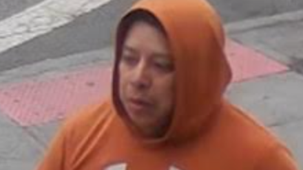 Woman, 68, choked, dragged into garage in Bronx sex attack