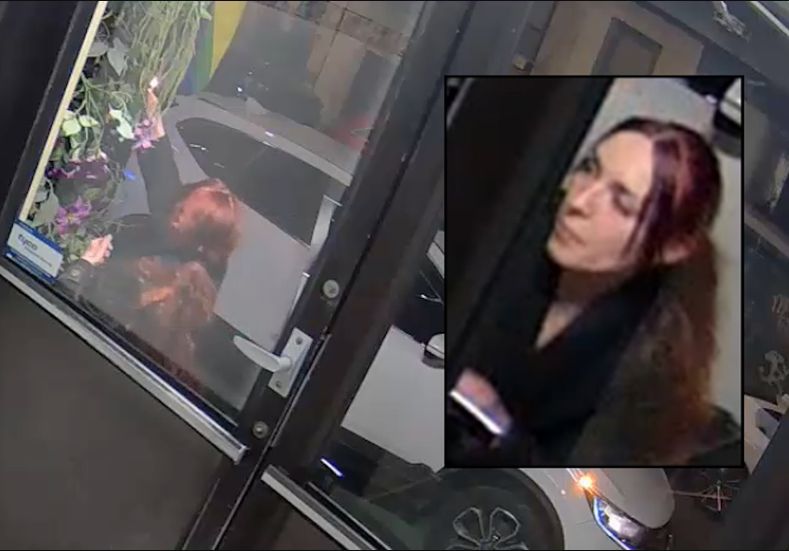 Police released surveillance footage following the arson at Little Prince restaurant on Prince Street.