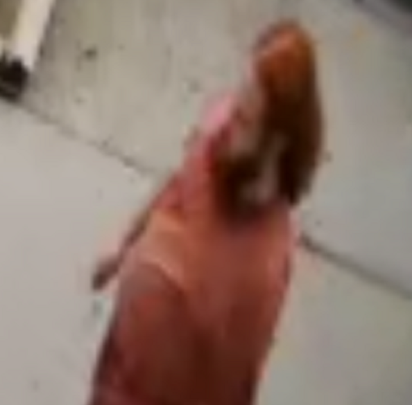 Security cameras captured an image of the suspect.