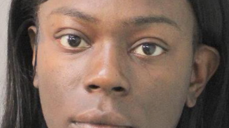 Target shoplifter tangles with LI officers, charged with assault: police