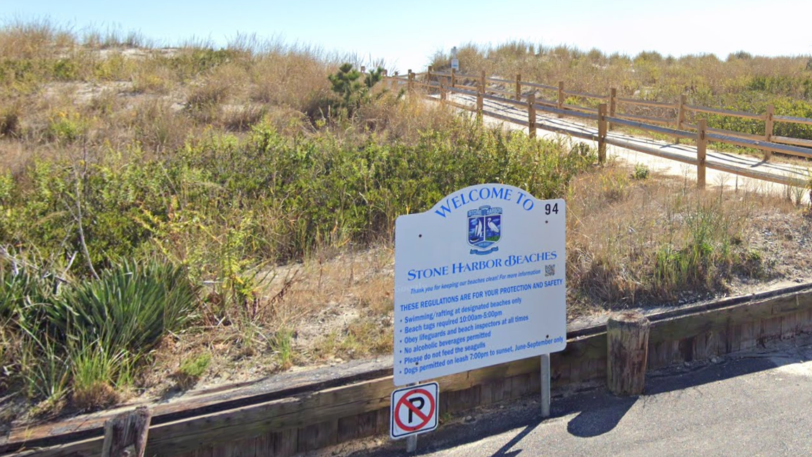Girl, 15, bitten by shark while surfing at South Jersey beach: officials