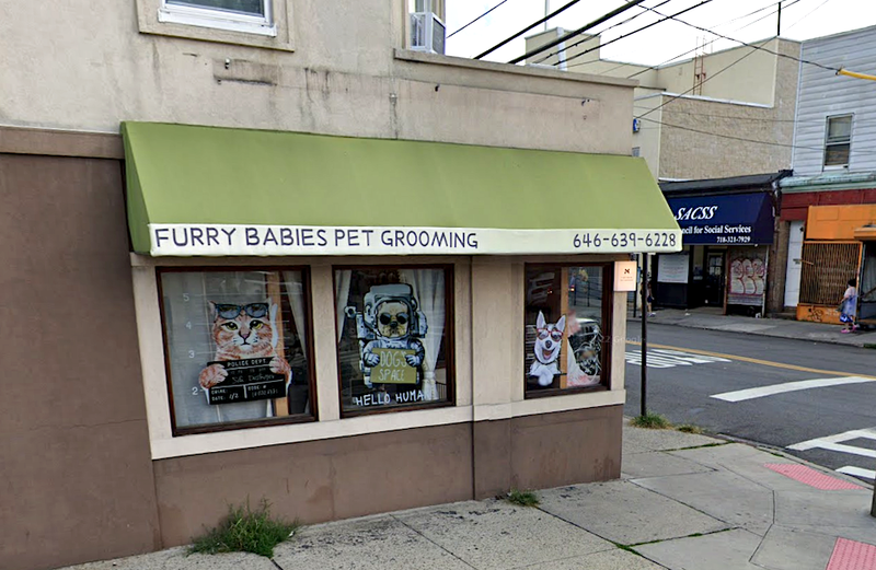 Furry Babies Pet Grooming in Flushing, Queens