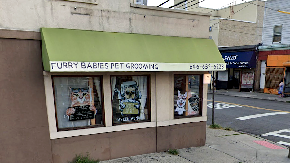 Queens groomer allegedly roughhoused dying dog for 6 minutes