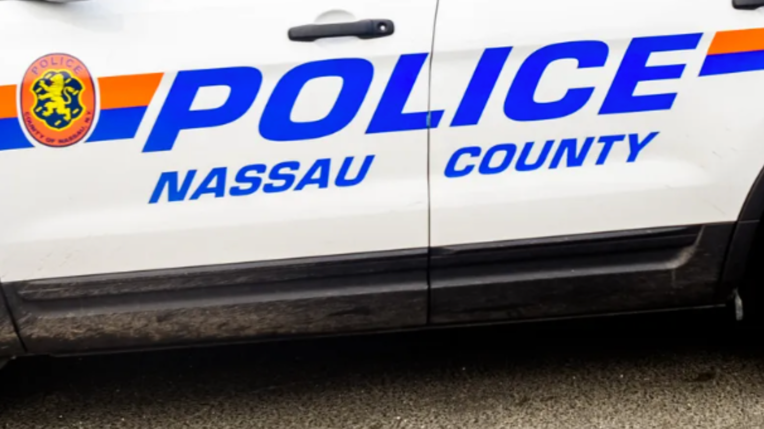LI woman fights cop after crashing aunt's car, running through traffic: police