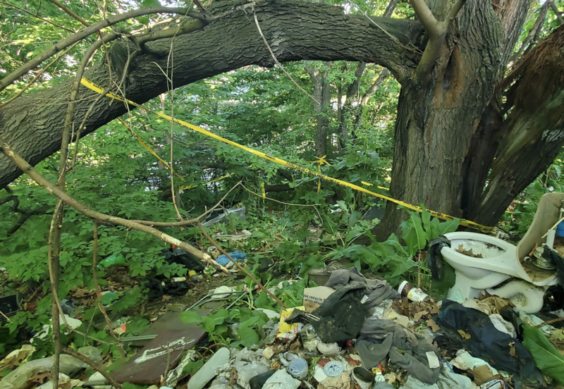 Little Genevieve Comager was found dead Sunday night off the Major Deegan Expressway, police said.