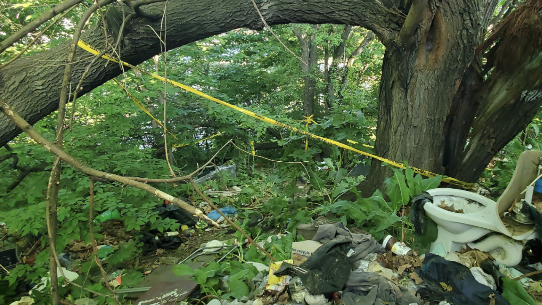 Bronx baby found dead in woods off Major Deegan Expressway; parents reportedly questioned