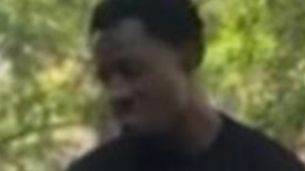 Man punched in face, slashed in Lower Manhattan park: cops