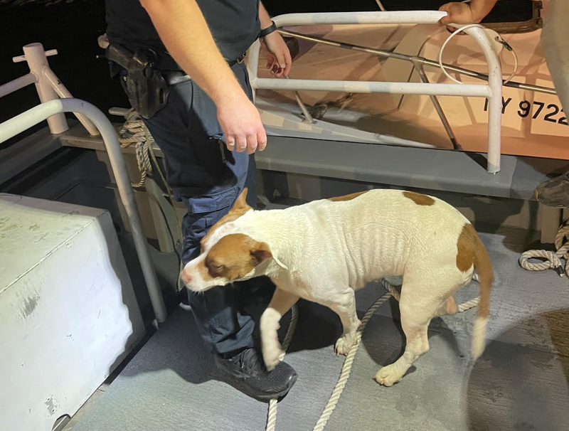 A man and his dog, Lola, were rescued from a boat that ran aground in the waters off Nassau County Saturday night, police said.