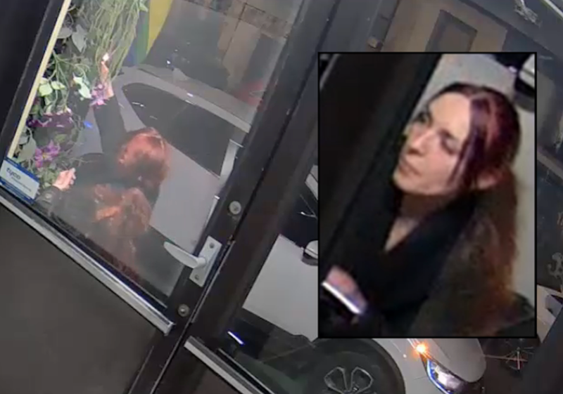 Angelina Cando was captured on surveillance video in February setting fire to the Pride flag at the at Little Prince restaurant in SoHo.  