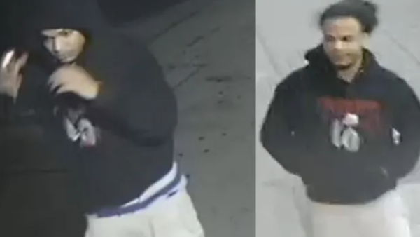 Duo in ski masks sought in Bronx armed carjacking