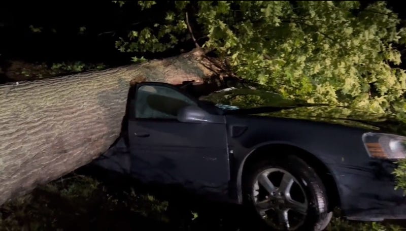 Car crushed by tree at the Detroit Golf Club