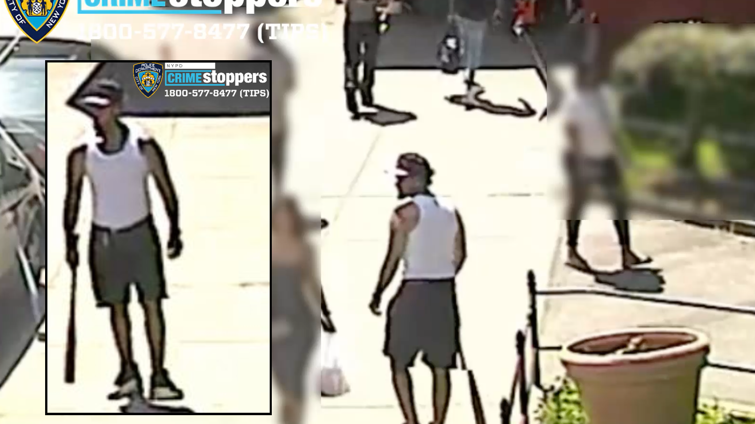 Man with baseball bat beats passerby on Bronx street