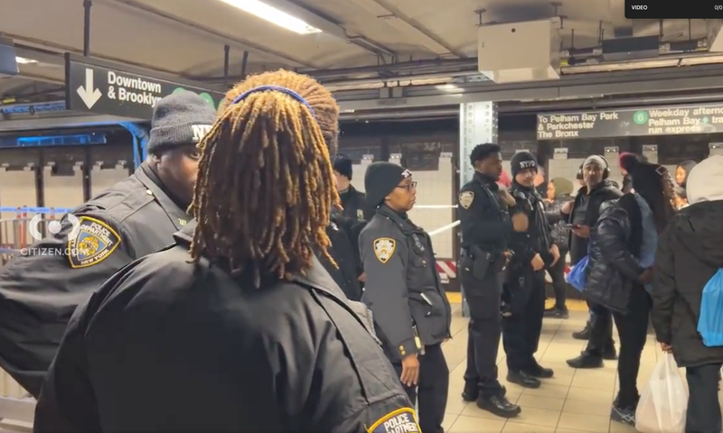 Riders watched in horror as the man was shoved into the path of the train and killed instantly