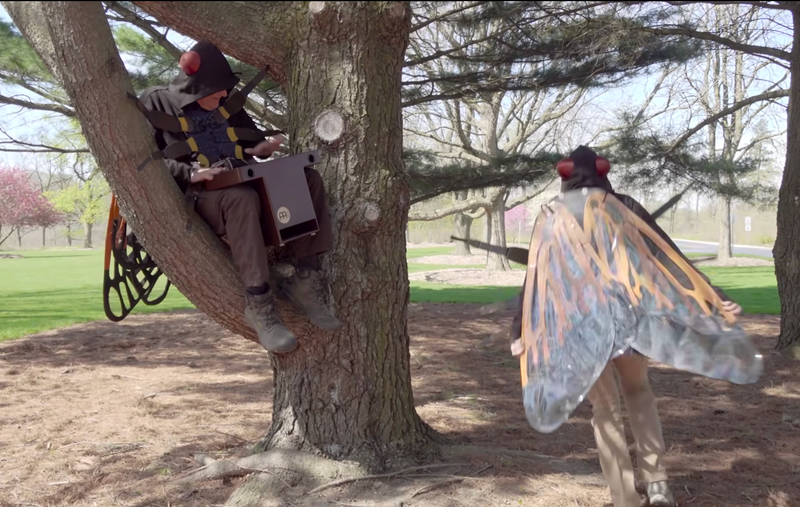 DuPage County Forest Preserve District staffers act out the life cycle of a cicada for a video posted last week. The video has already gotten more than 285,000 views on TikTok.