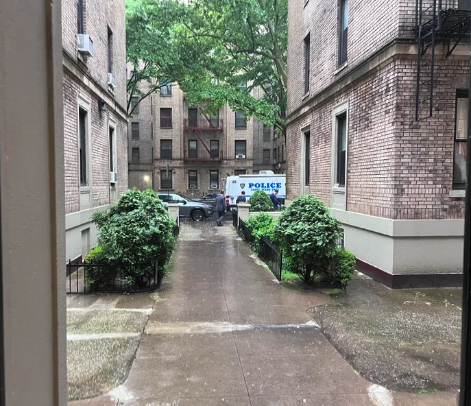 Crimen en NYC