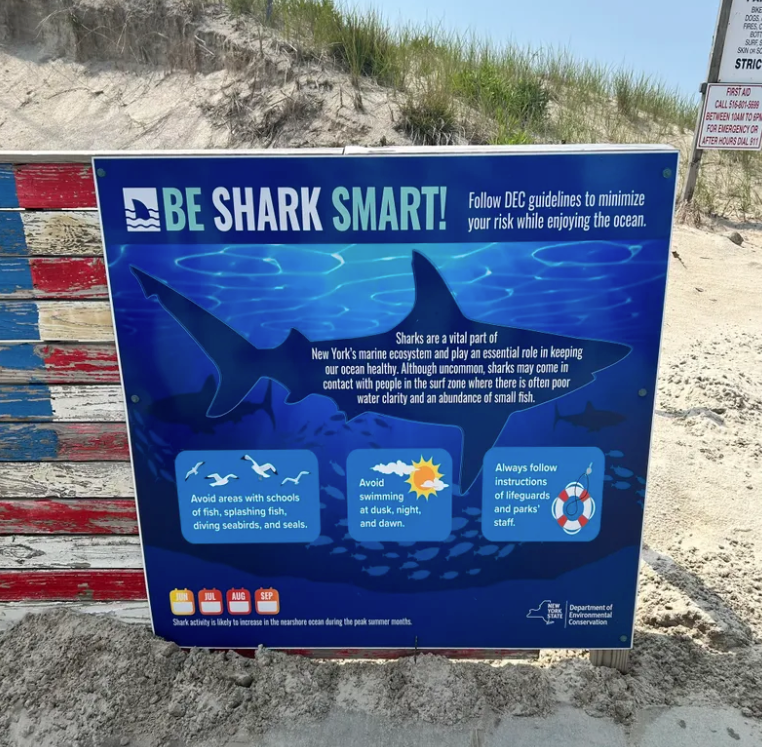 tiburones en playas de NY