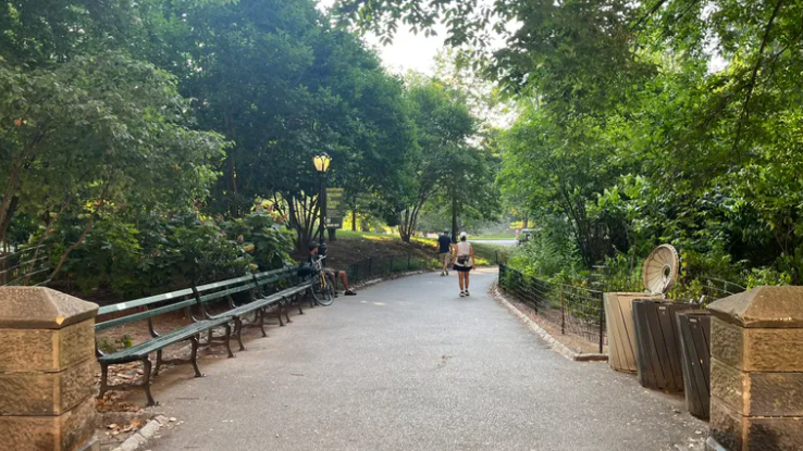 Hombre de 38 años es asaltado en Central Park por un grupo numeroso, incluyendo niños de tan solo 10 años