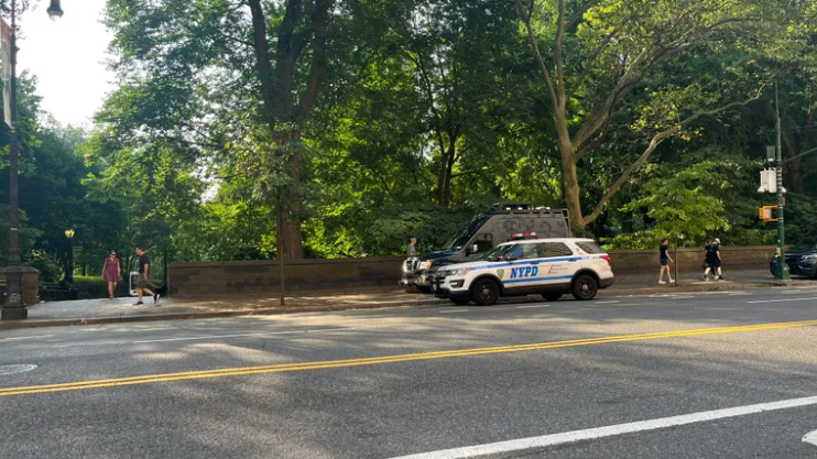 OTRO ROBO EN CENTRAL PARK: Dos hombres son asaltados por adolescentes que se cree tienen 16 años