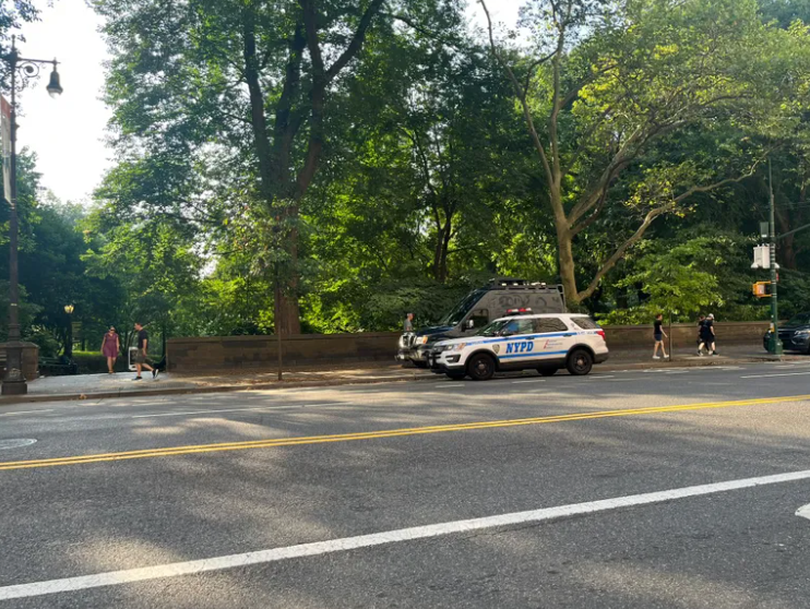 robo en central park