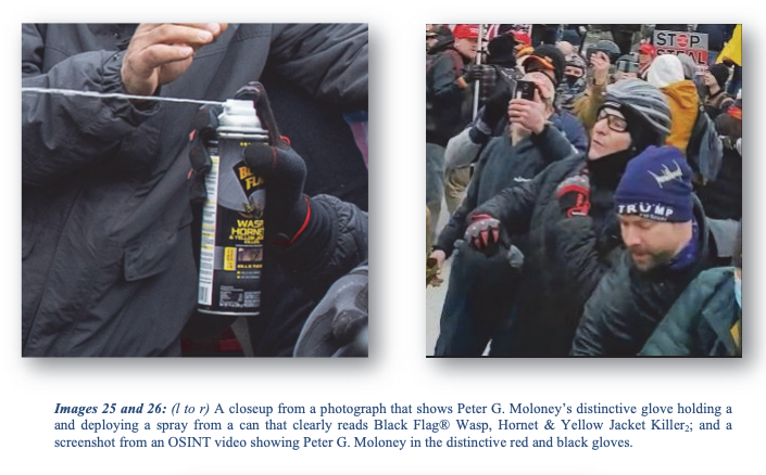 A federal complaint shows Peter Moloney at the 2021 U.S. Capitol riot