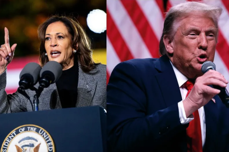 Harris, Trump
