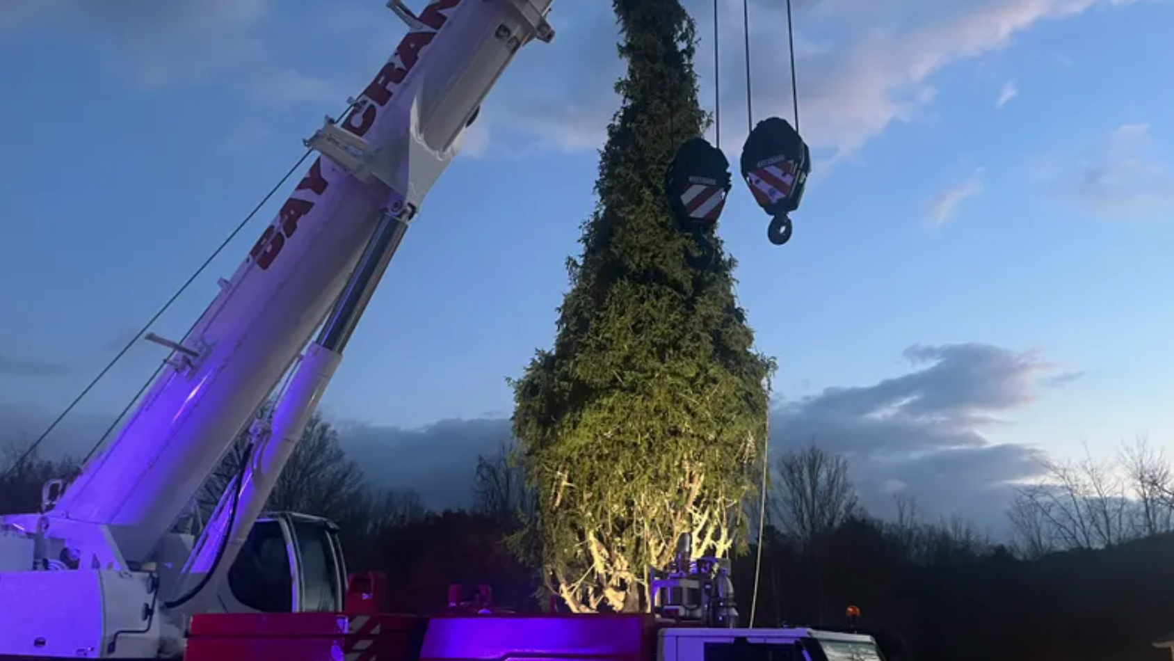 El árbol de Navidad del Rockefeller Center 2024, talado en Massachusetts, llegará a Nueva York este sábado