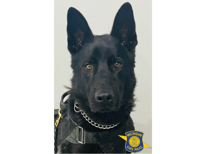 Police K9