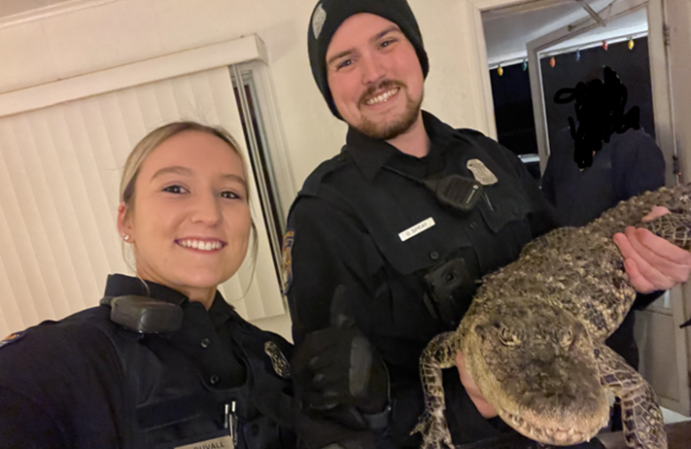 Officers holding an alligator
