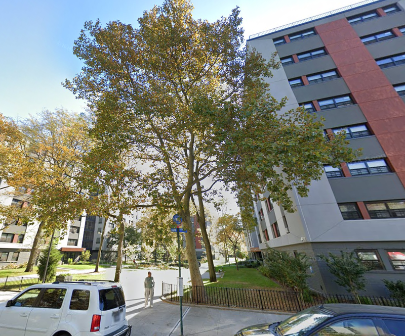 A domestic dispute led to the stabbing around 6:30 p.m. at 195 Cozine Ave., part of the NYCHA Linden Houses in East New York