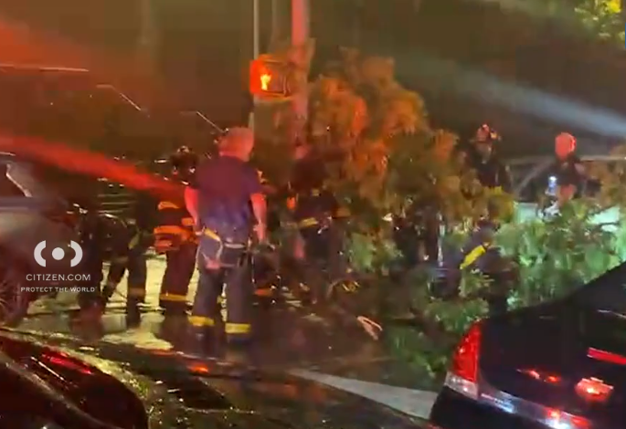 Man's legs broken when tree falls in Harlem during Monday night storms.