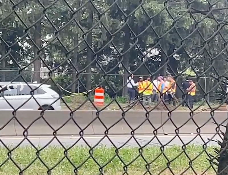 Human remains found on the side of the Jackie Robinson Parkway in Brooklyn.