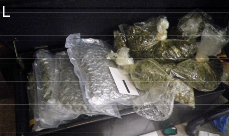 LI couple arrested in major drug bust.